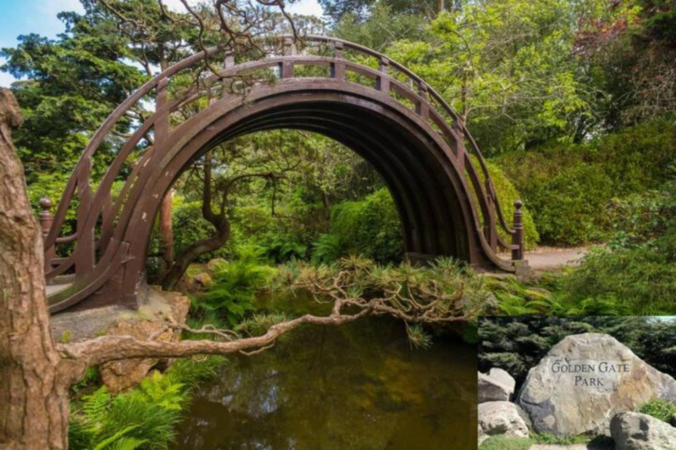 Stunning Sanfran Casa Close To Center And Steps From Ocean 旧金山 外观 照片