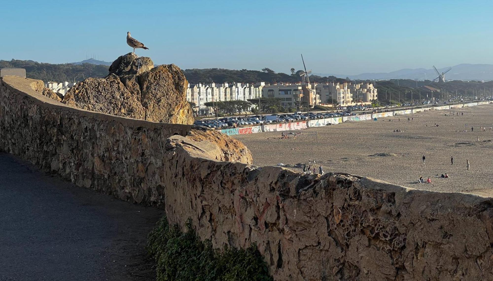 Stunning Sanfran Casa Close To Center And Steps From Ocean 旧金山 外观 照片